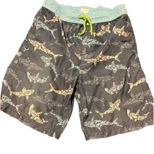 Boys Lands End Swim Trunks - Size L 14/16